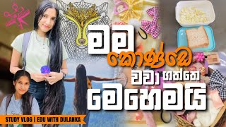 කොණ්ඩය ලස්සනට තියාගන්න රහස්  Study  Hostel cooking  Hair care  hairgrowth haircare hairoil [upl. by Drawyah487]