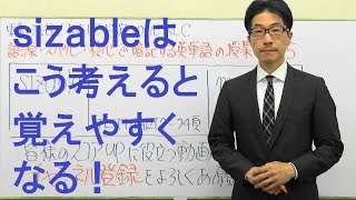 TOEIC英単語の授業0265  sizable黄金の暗記法【公式問題集など準拠】語源・スペル・核心で一生忘れない [upl. by Hehre]