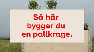 Så här bygger du din pallkrage [upl. by Nanerb63]