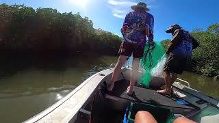 Chasing prawns mackay [upl. by Saxen]