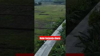 Desa CisuruCipari cipari dronemurah fpv dronegunung dji [upl. by Hibbitts807]