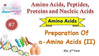 Preparation of Amino Acids ContinuedAmino Acids BSc 6th SemesterPart 7 Organic Chemistry [upl. by Leilani]