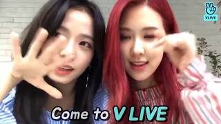 V LIVE Join a chat with BLACKPINK  EN [upl. by Claudianus]