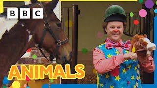 Mr Tumble Loves Animals 🐴🦆🐶  30 minutes  Mr Tumble and Friends [upl. by Julienne]