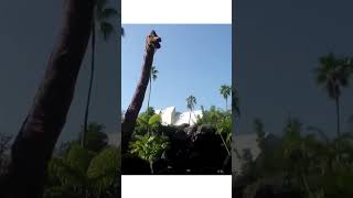 Jurassic Park Ride Universal Studios Orlando Islands of Adventure [upl. by Tnecniv]