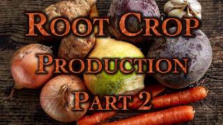 Root Crop Production Part 2 [upl. by Aciras957]