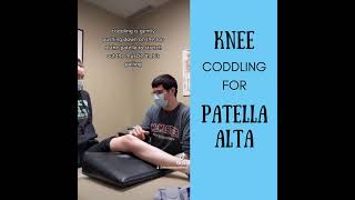 Knee Coddling for Patella Alta [upl. by Haikezeh189]