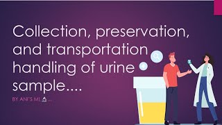 Collection preservation transportation and sample handling guidelines for urine specimen [upl. by Oigolue]