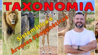 Taxonomia  Sistemática e Árvores Filogenéticas [upl. by Aihtenak311]