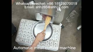 Automatic meat cutting machine meat shredding equipment meat slicing machine meat cutter [upl. by Thrift652]