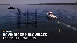 Downrigger Weight Size When Experiencing Blowback [upl. by Camella]