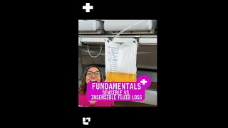 Sensible vs Insensible Fluid Loss Fundamentals SHORT  LevelUpRN [upl. by Llerdnek611]