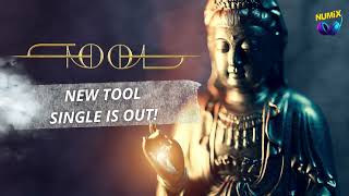 Tool  New Single 2023 [upl. by Annekcm198]