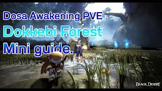 Dosa Awakening PVE Dokkebi Forest Mini guide  Black Desert [upl. by Donela62]