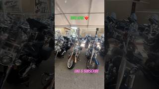 Biker Paradise at Biketober Fest bike bikelife harleydavidson baggernation biketoberfest2024 [upl. by Boycie525]