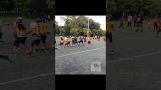 scrimmage football elite youtubeshorts ironsharpensiron nfl touchdown youthfootball sports [upl. by Afirahs]