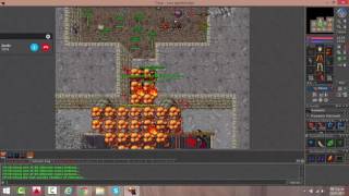 TIBIA Matando Zorvorax con druid  The first dragon quest [upl. by Mead]