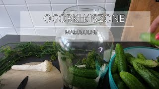 OGÓRKI KISZONE PRZEPIS  Ogórki małosolne przepis  wwwKasiain [upl. by Assirol]