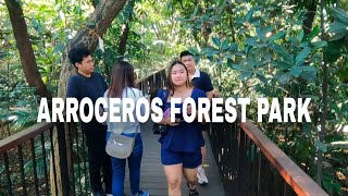 Walking Tour Arroceros Forest Park Manila Philippines 🇵🇭 [upl. by Vogeley578]