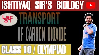 Transport of carbon dioxide [upl. by Yentnuoc]