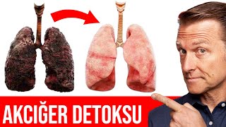 Akciğerlerinizi Nasıl Detoks Edebilirsiniz  DrBerg Türkçe [upl. by Cini]