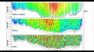 ADCP Modes [upl. by Maryrose]