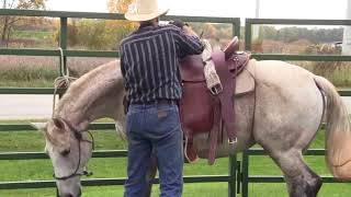 Saddle fit eval of JC martin saddle with Smokie Brannaman [upl. by Budding749]