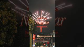 Welcome 2024 in Auckland New Zealand newyear2024 newzealand [upl. by Adalia]