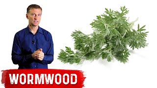 The Benefits of Wormwood [upl. by Norraf]