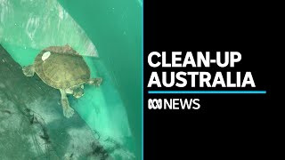 Cleanup Australia day encourages locals to get involved in conservation  ABC News [upl. by Tatianna]