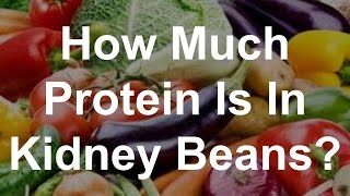 How Much Protein Is In Kidney Beans [upl. by Arick156]