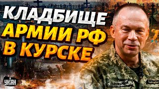 Курск это ДОРОГА СМЕРТИ Показали КЛАДБИЩЕ техники РФ Сырский ответил Путину У ВСУ есть успехи [upl. by Enivid216]