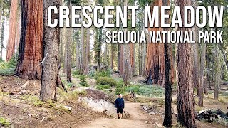 Crescent Meadow Hike in Sequoia National Park [upl. by Polard]