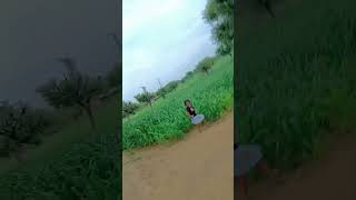 🦚savn me morni banke meto cham cham nachu shortvideo dance khetibadi rajasthan raj [upl. by Noirda]