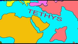 WHALE EVOLUTION THE TETHYS SEAWAYavi [upl. by Edrahs471]