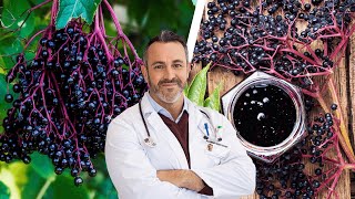 The Amazing Health Benefits of Black Elderberry [upl. by Enerak]