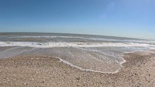 Watching the waves at Will Rogers Beach State Park  360 Degree  5k  VR Experience [upl. by Resarf98]