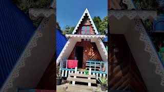 Alinas Homestay  Gopaldhara Mirik Darjeeling offbeat placeflowers nursery garden viral [upl. by Doowyah817]