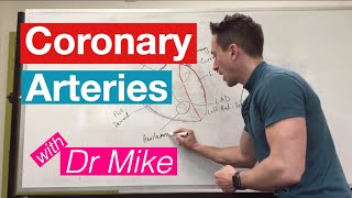 Coronary Arteries  Cardiology [upl. by Einnhoj]