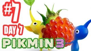 Pikmin 3 Gameplay Walkthrough  Part 7  Day 7 DISTANT TUNDRA Wii U Pikmin 3 Gameplay HD [upl. by Ecyaj]