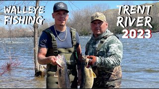 WALLEYE FISHING TRENT RIVER 2023 [upl. by Lathrope]