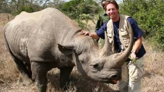 MAN MEETS WILD RHINO [upl. by Sevein372]