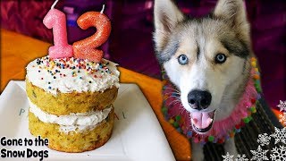 How To Make a Meat Birthday Cake For Dogs  DIY Dog Treats [upl. by Greggs126]