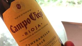 Campo Viejo Rioja Wine Review  Great Stuff [upl. by Enak]