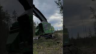 abitibi logging quebec forestry logginglife foryou foresterie🌲 johndeere ponsse ponsseh7 [upl. by Fernand]