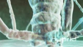 Bacteriophage Hybrid Medical Animation HD [upl. by Pejsach798]