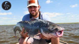 2 12 HOURS of Catching CATFISH in South Louisiana [upl. by Eydnarb512]