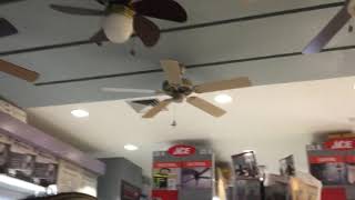 Westinghouse Decorative ceiling fans [upl. by Enillebyam]