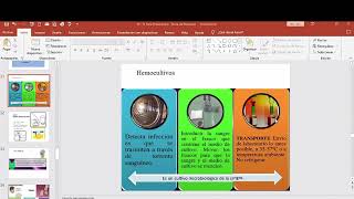 Fase Preanalítica parte 11 [upl. by Carrol]