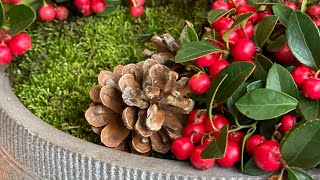 ❄️ Wintergreen  Gaultheria  Arrangement ❄️ [upl. by Ecyob]